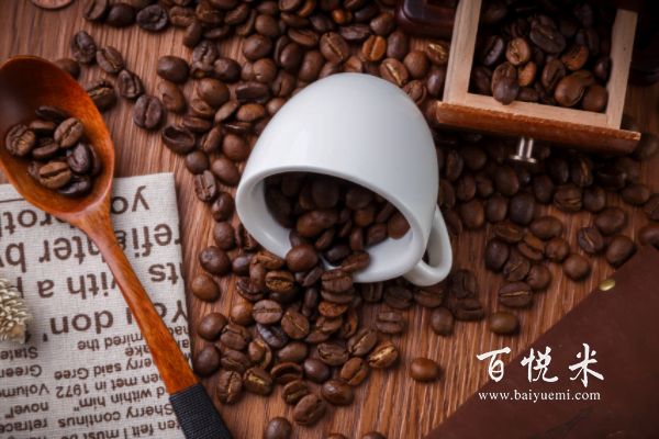 為什么貓屎咖啡會賣那么貴？這背后的故事值得深思！